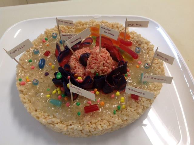 Candy Cell Examples Biology Project: Candy Cell by LiliNyan-tan on DeviantArt