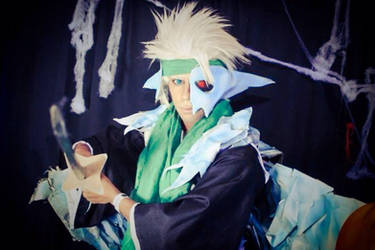 Toshiro Hitsugaya Holloweed