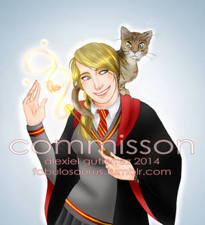 Commission - Hogwarts High-Jinks