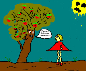 Tomato Tree