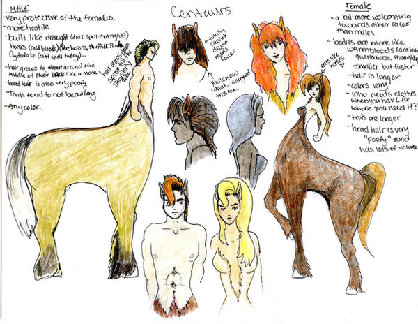 Centaur Like Races centaur species profile by akapencilninjas on DeviantArt