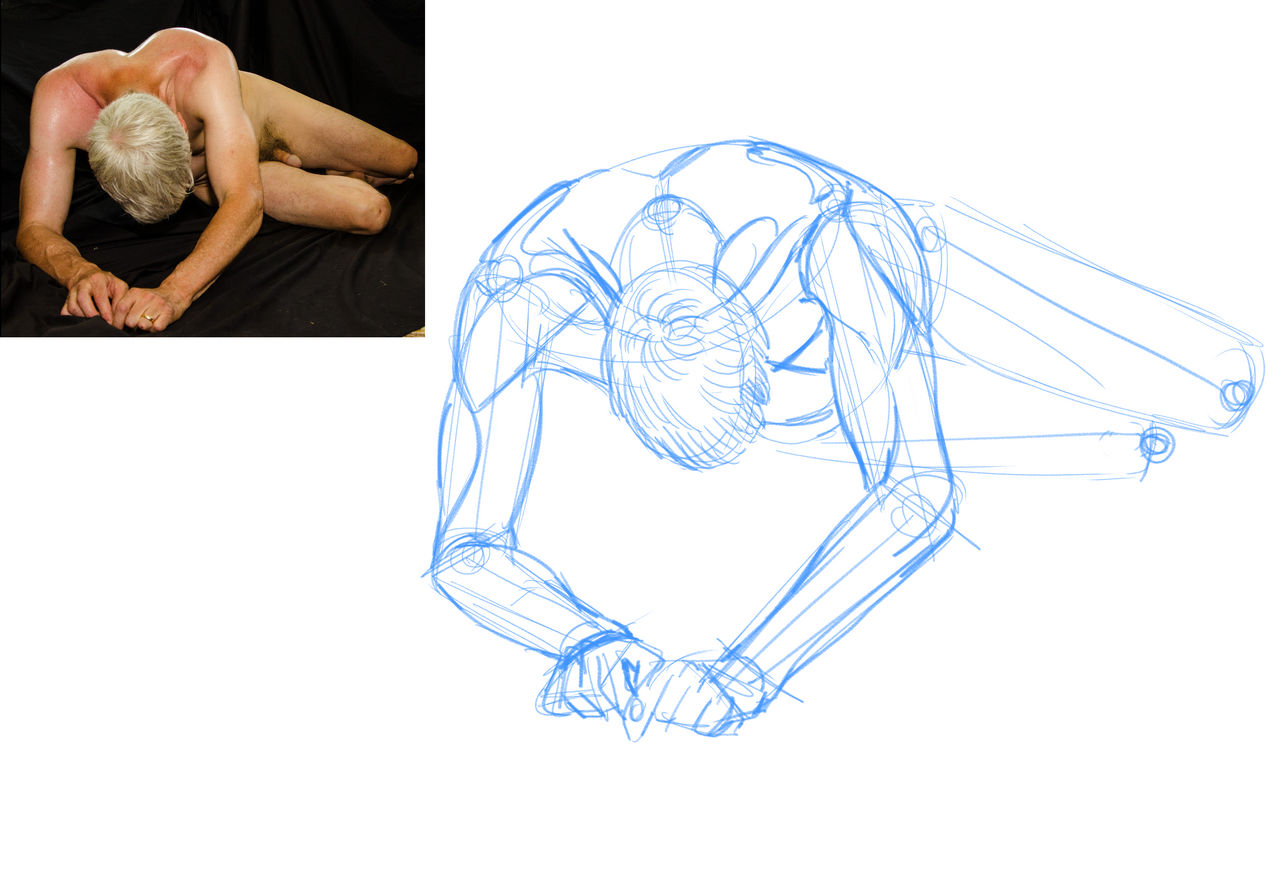 Anatomy drawing 2 by JubsLyra on DeviantArt