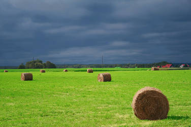 The Beautiful nature of Latvia by Aneteee