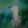 Great White Heron