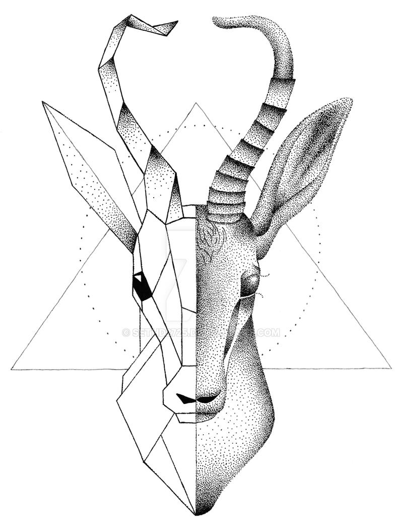 Springbok Tattoo Design by sethd2725 on DeviantArt