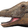 Apatosaurus head - Watercolor