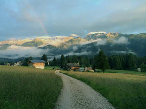 Mountain Path