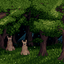 Llama's Forest