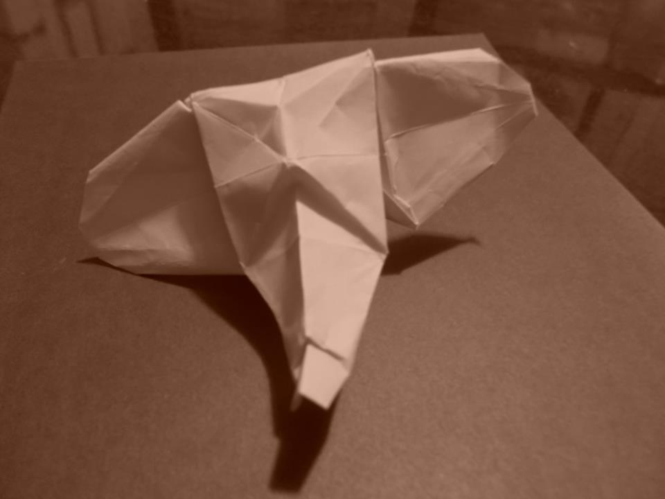 Origami elephant head created and folded by me.