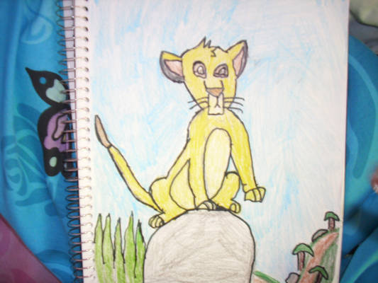 Simba Drawing