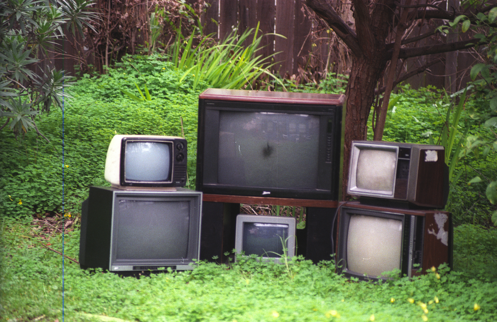 TV Garden