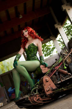 The Poison Ivy III