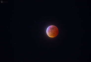 Super Wolf Blood Moon PT. II