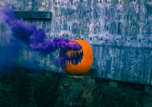 Purple Pumpkin