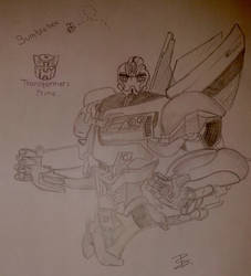 TFP_Bumblebee