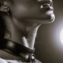 The collar