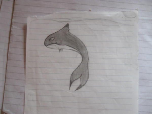 Werewolf Orca Orca by lion-titi-werewolf on DeviantArt