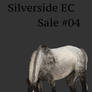 Silverside EC -Sale #4