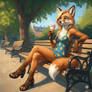 Fox and Icecream