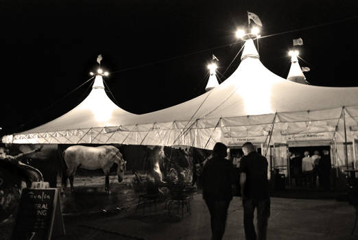 Cavalia