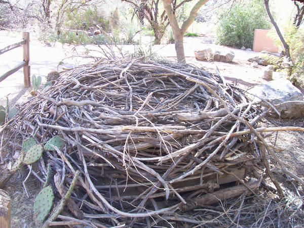 Big Nest by SaldaeanFarmgirl