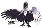 [Tytoninx Advent] - STAR - [CLOSED]