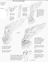 Anime Wing Tutorial