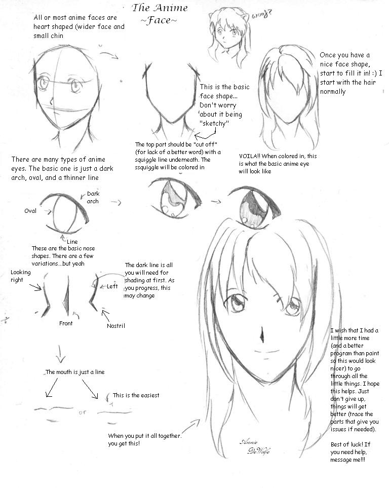 Anime Face Tutorial by DWolfe06 on DeviantArt