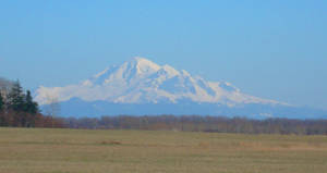 Mt Baker beyond the field by SkyfireDragon