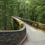 Whatcom Falls Park 04-04-14-003