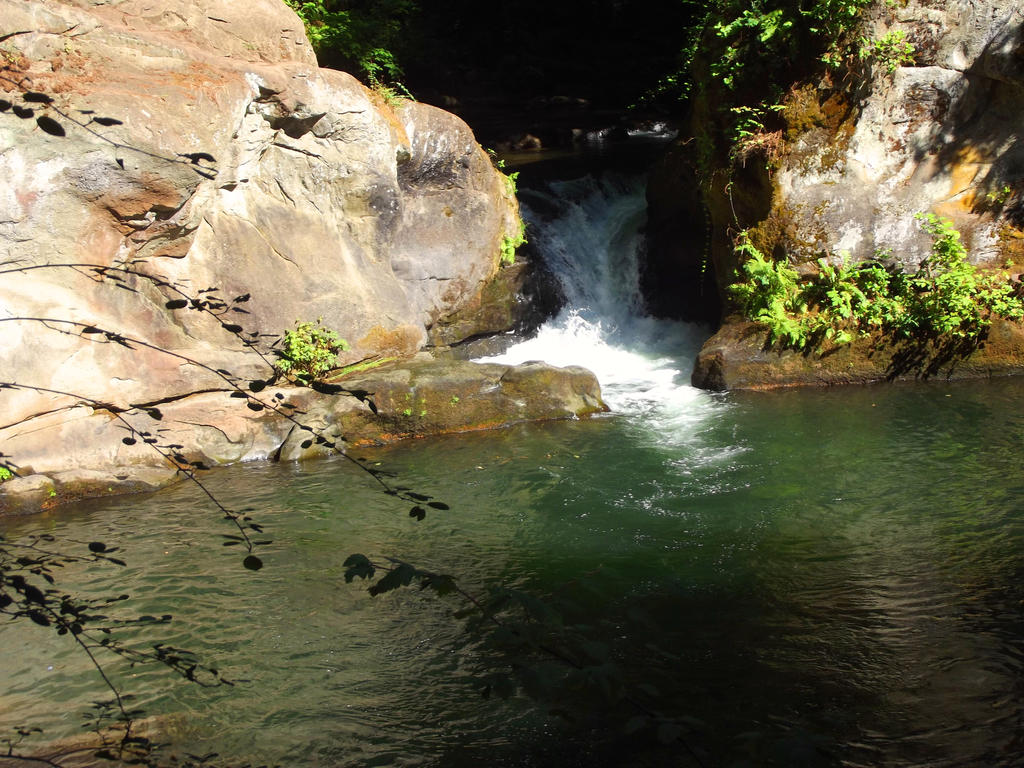 Whatcom Falls Park 07-30-2014-026