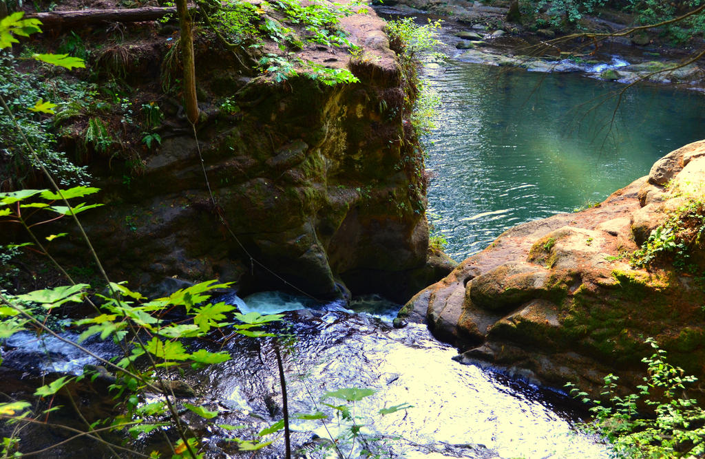 Whatcom Falls Park-05SEP2015-080