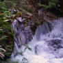 Whatcom Falls Park-01JAN2016-081