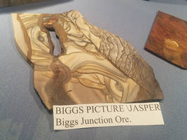 Biggs Jasper-28Sep2017-S02