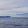 Bellingham Bay-20Dec2023-S03