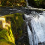 Whatcom Falls-23Mar2013-001