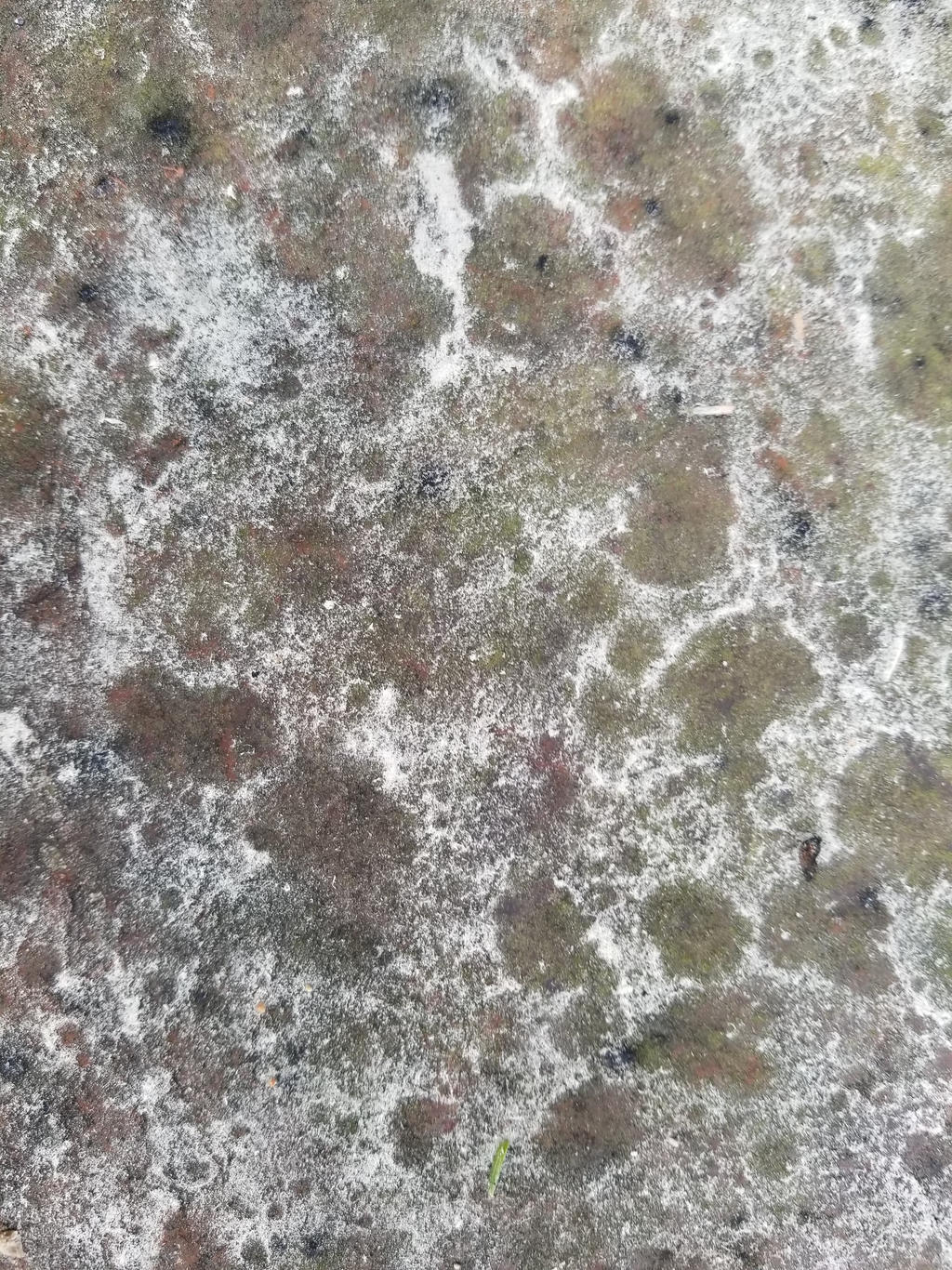 Dust patterns I by SkyfireDragon on DeviantArt