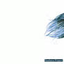 Feathers Project: Annie Radita