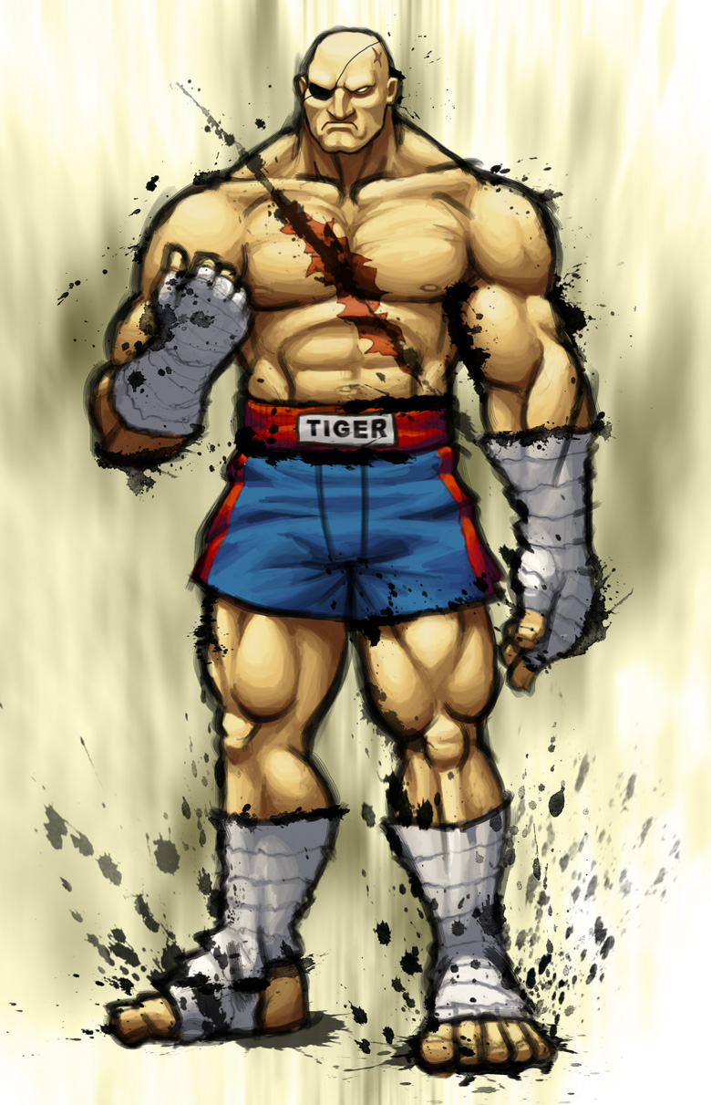 Street Fighter IV: SAGAT