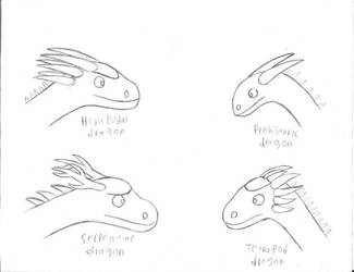 Dragon headshots