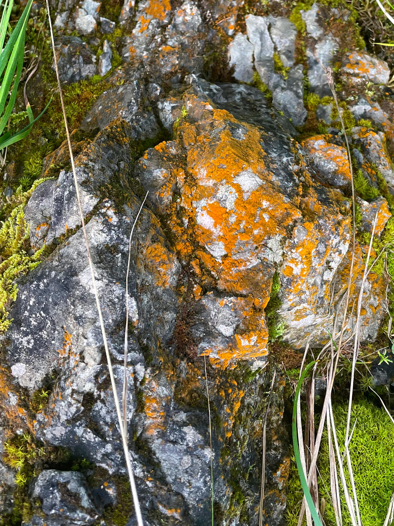 Colored Rocks by ahobby on DeviantArt