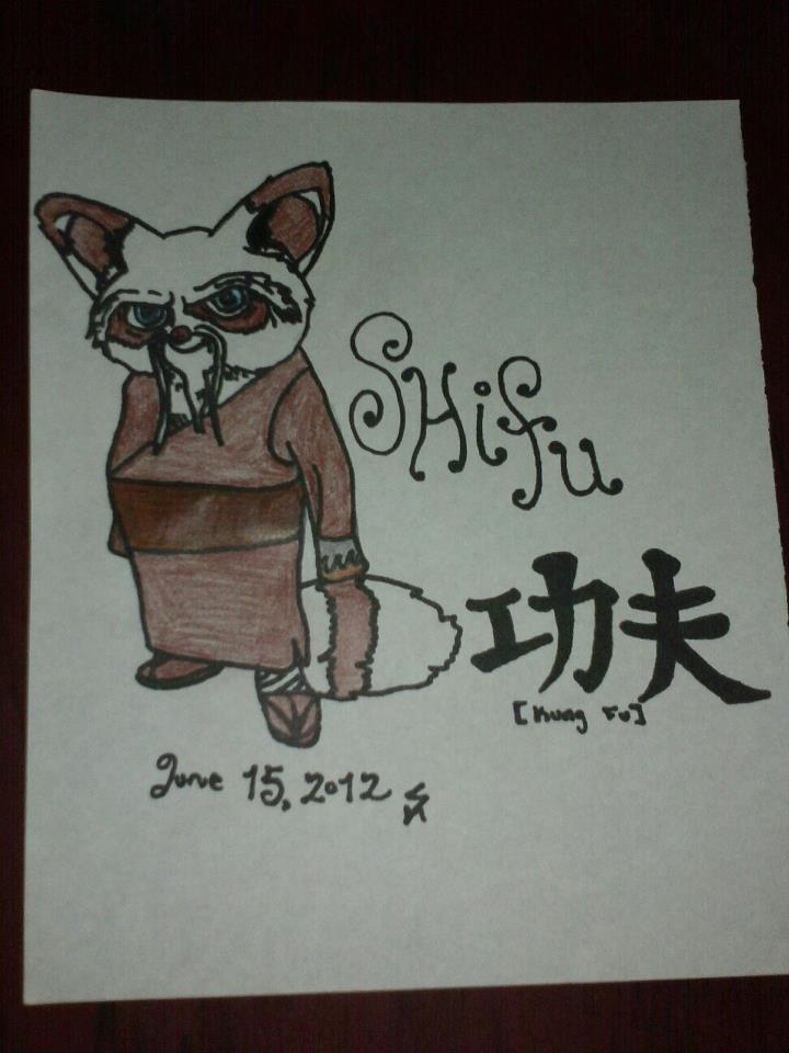 Shifu Style Shifu by StephHardy28 on DeviantArt