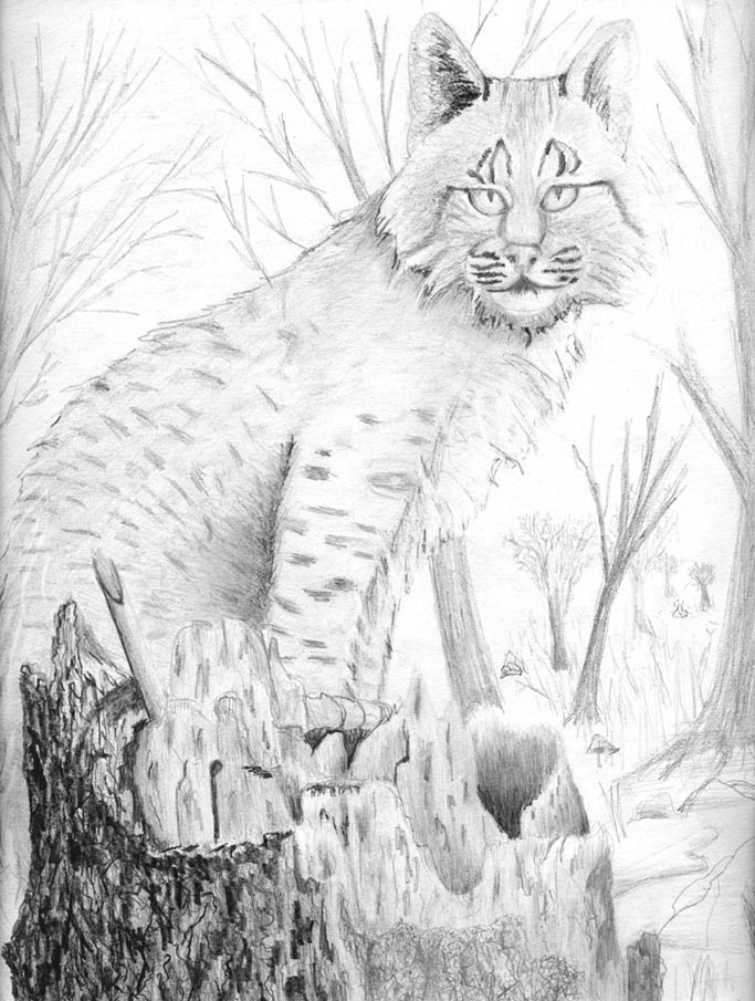 Cat when i was 12 by Mirally