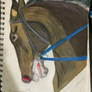 Horse racing awareness art