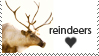 Reindeers lover by Lora-Pedigree