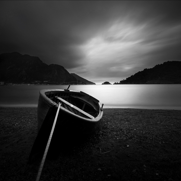 in the silence