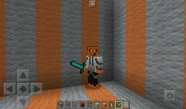 My minecraft skin