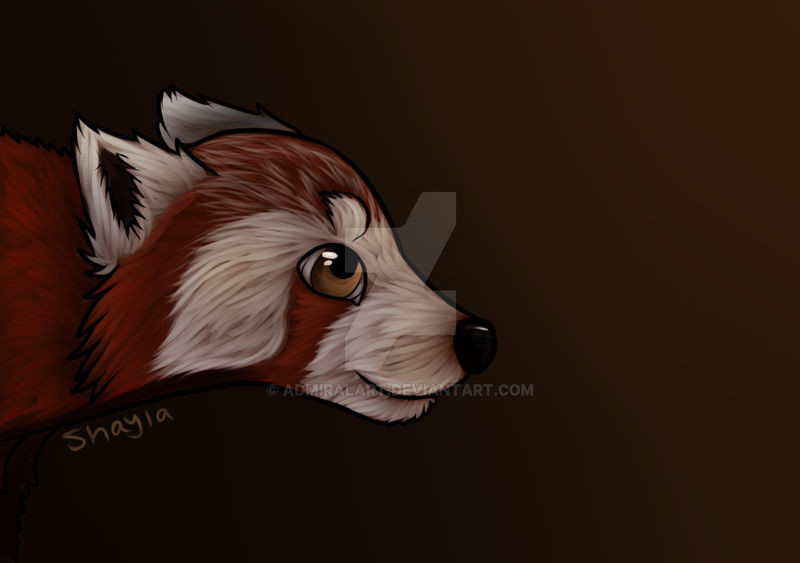 Red Panda Digital Painting by AdmiralArt on DeviantArt