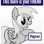 This Mare Is Your Friend - Pegasus - Derpy