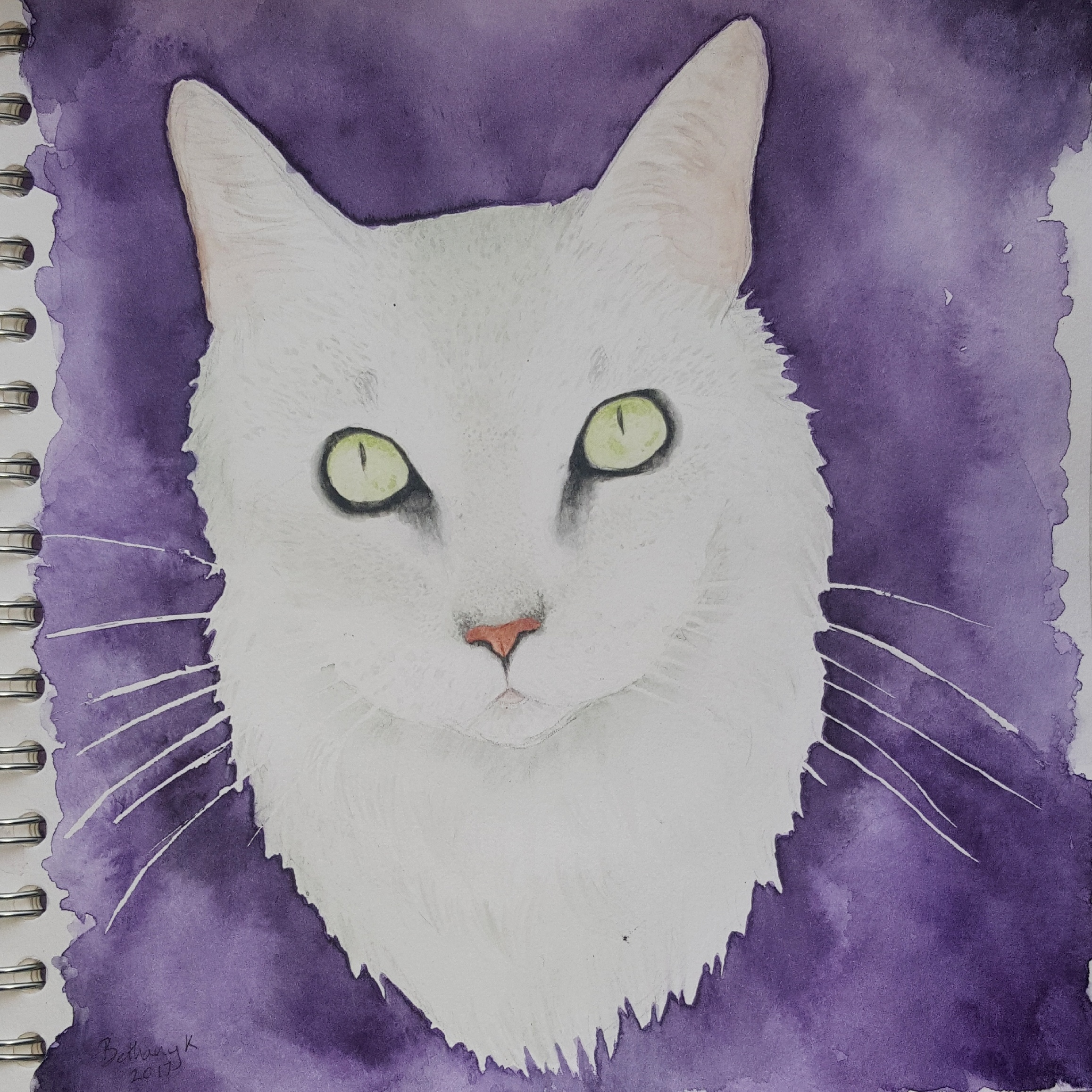 Ghostly cat